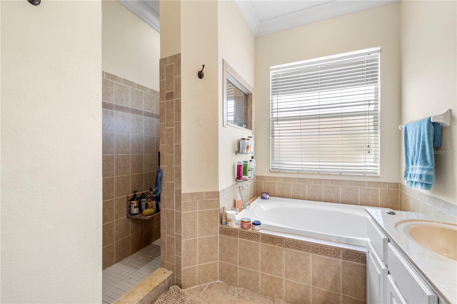 5096 BRIGHTSTONE PL, SPRING HILL, FL, 34609