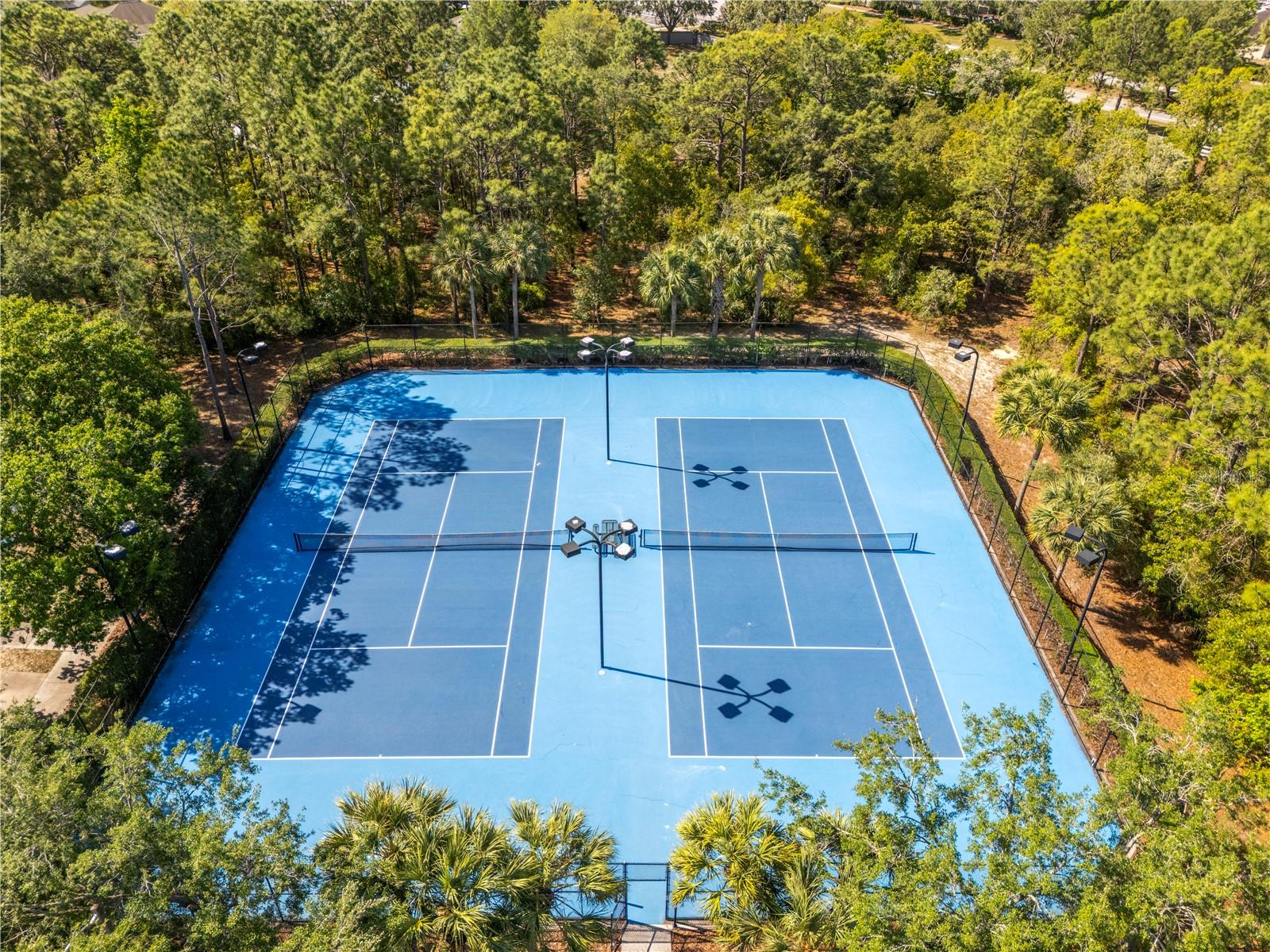 5096 BRIGHTSTONE PL, SPRING HILL, FL, 34609