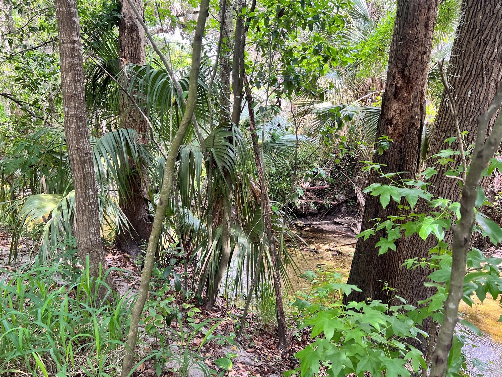 652 ROARING DR #230, ALTAMONTE SPRINGS, FL, 32714