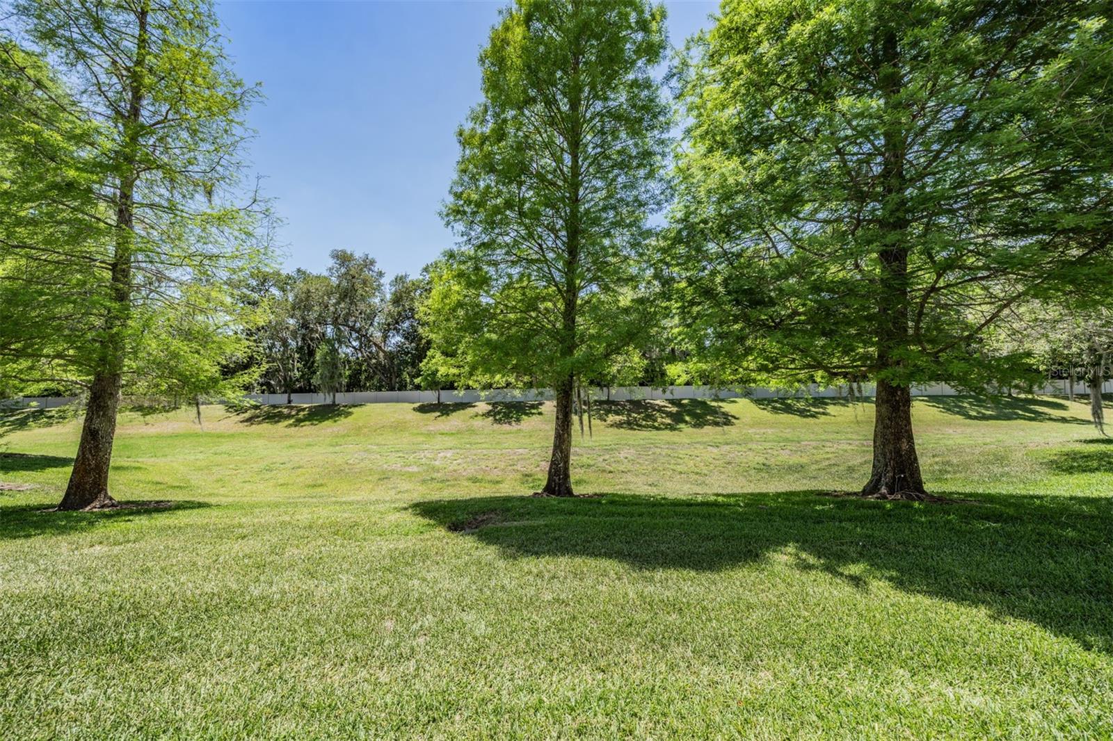 3132 ROYAL TUSCAN LN, VALRICO, FL, 33594