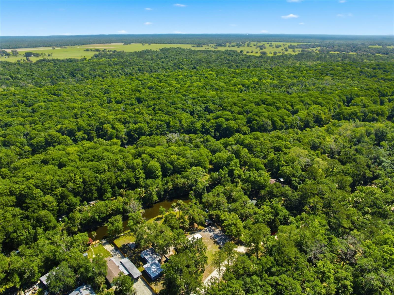 6339 E RIVER RD, HERNANDO, FL, 34442