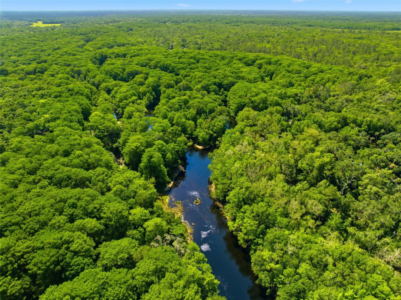 6339 E RIVER RD, HERNANDO, FL, 34442