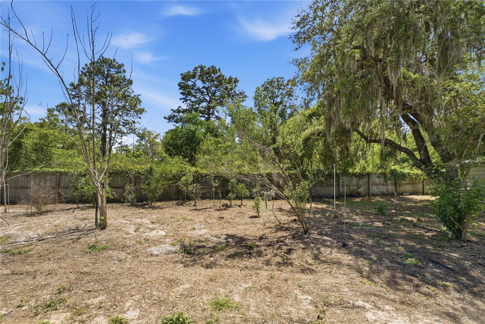 3105 WALK IN WATER RD, LAKE WALES, FL, 33898