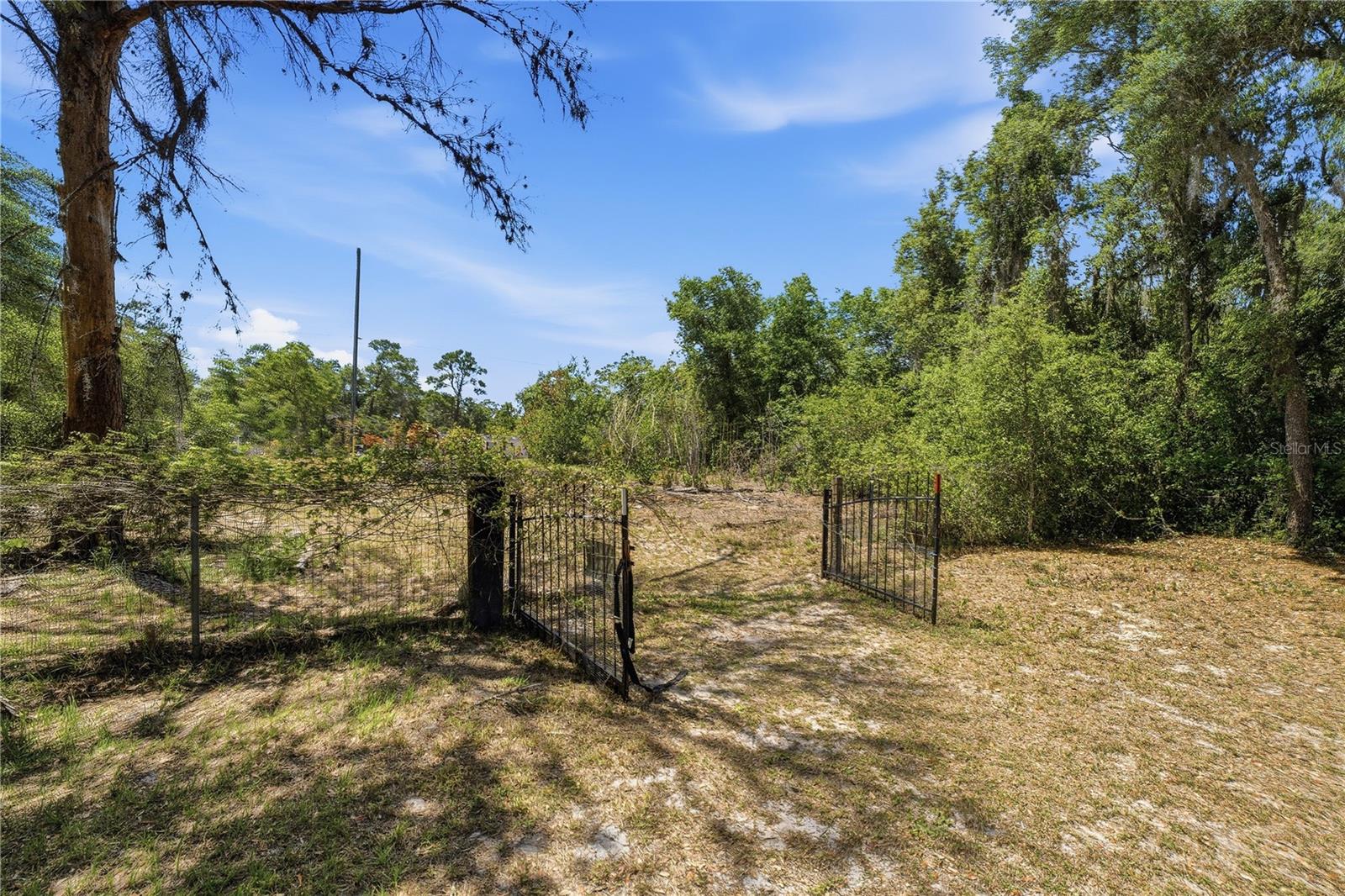 3105 WALK IN WATER RD, LAKE WALES, FL, 33898