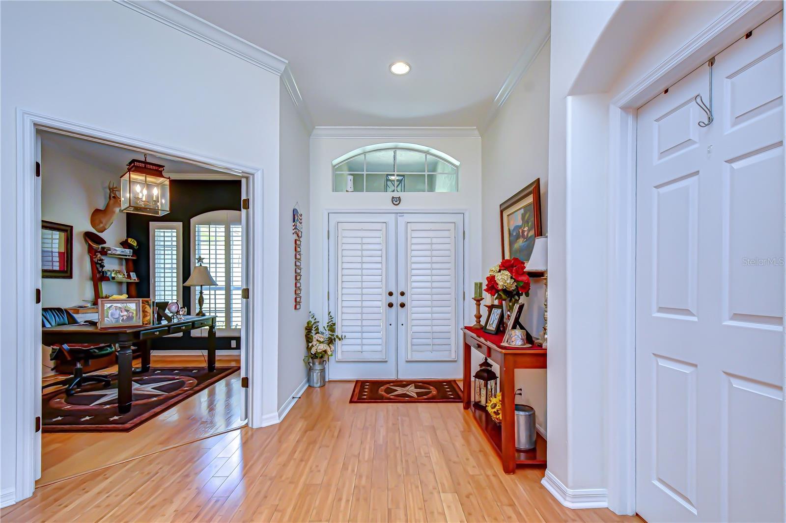 5820 AUDUBON MANOR BLVD, LITHIA, FL, 33547