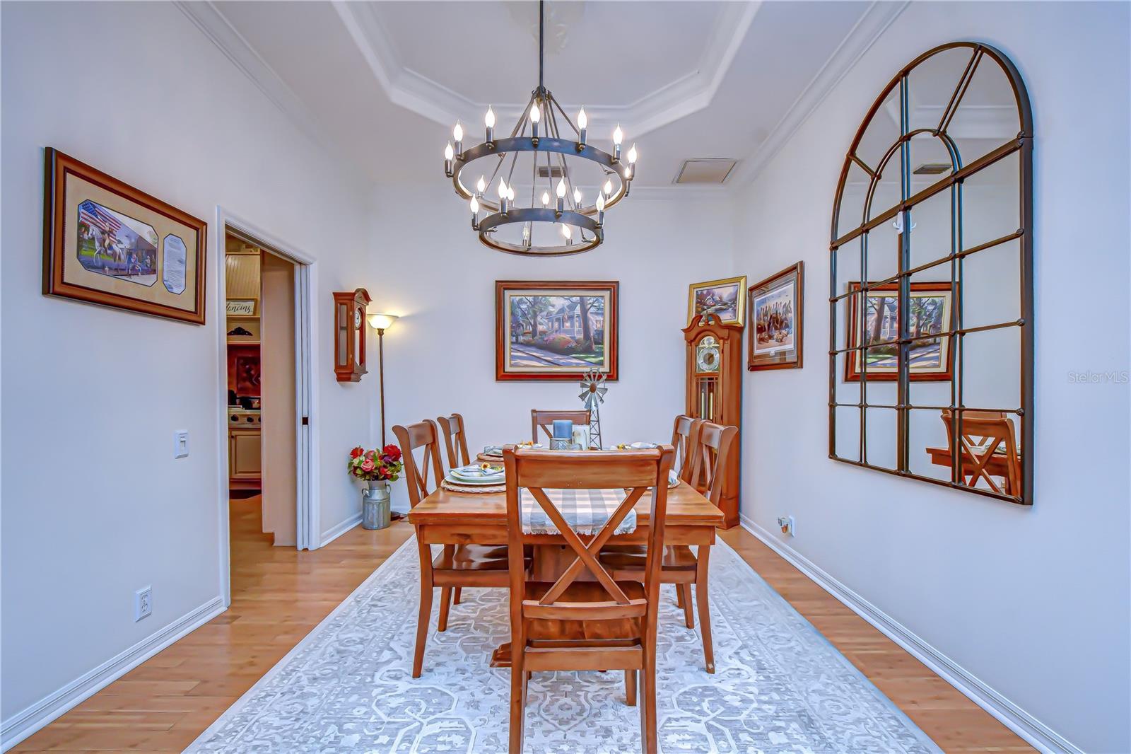 5820 AUDUBON MANOR BLVD, LITHIA, FL, 33547