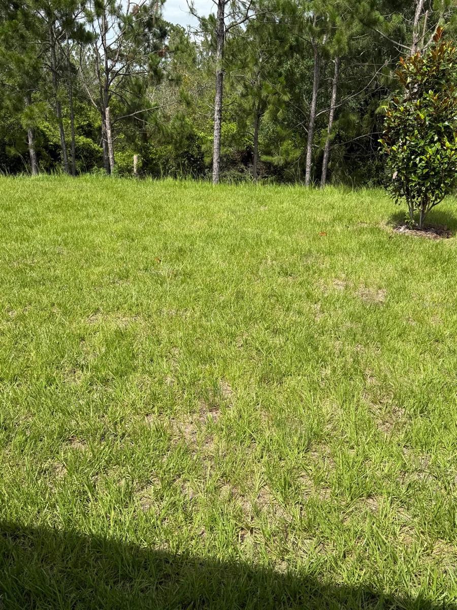 3390 SANCTUARY DR, CLERMONT, FL, 34714