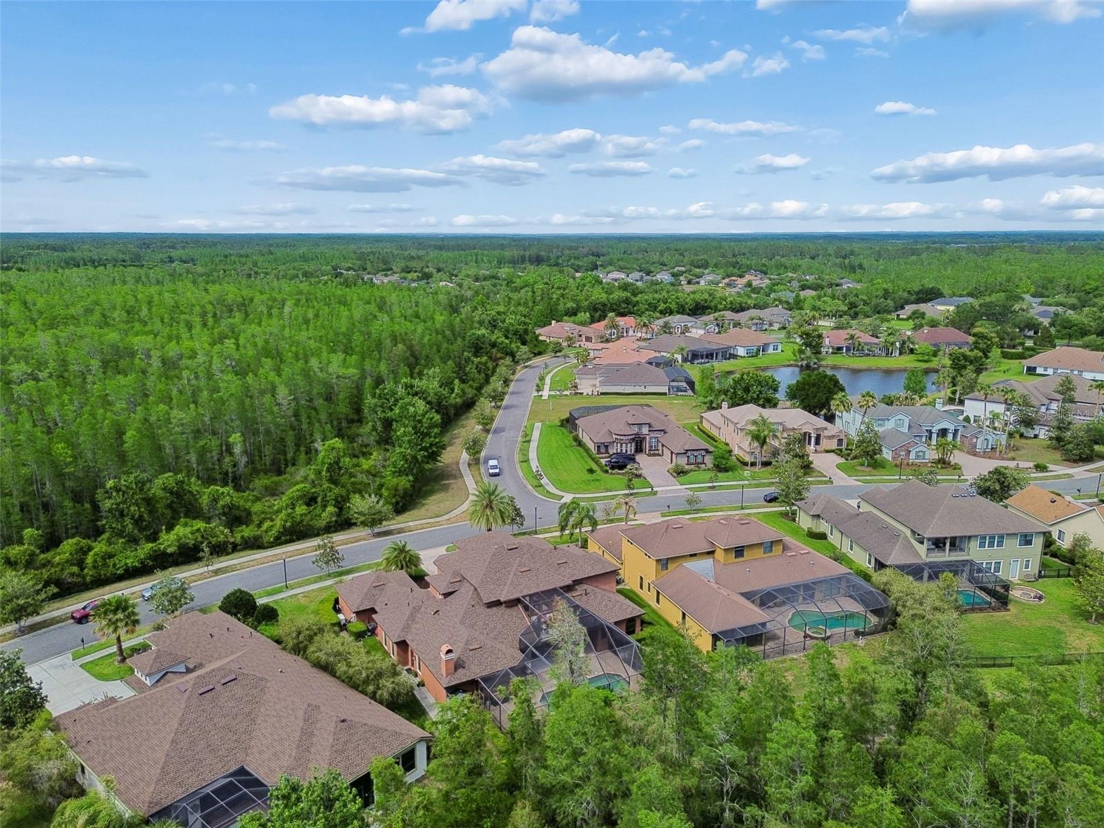 20330 LACE CASCADE RD, LAND O LAKES, FL, 34637