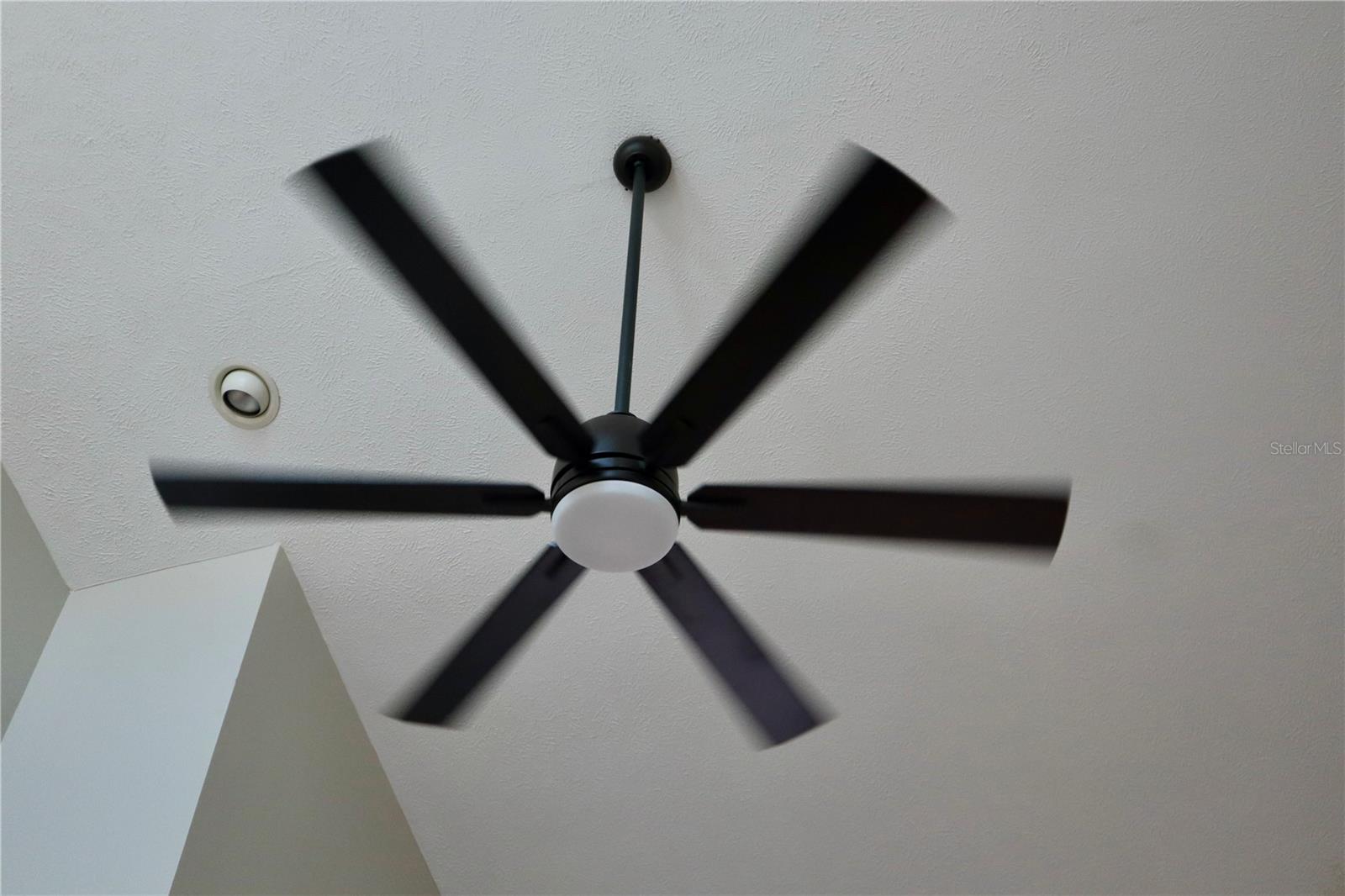 3929 NE 21ST LN, OCALA, FL, 34470