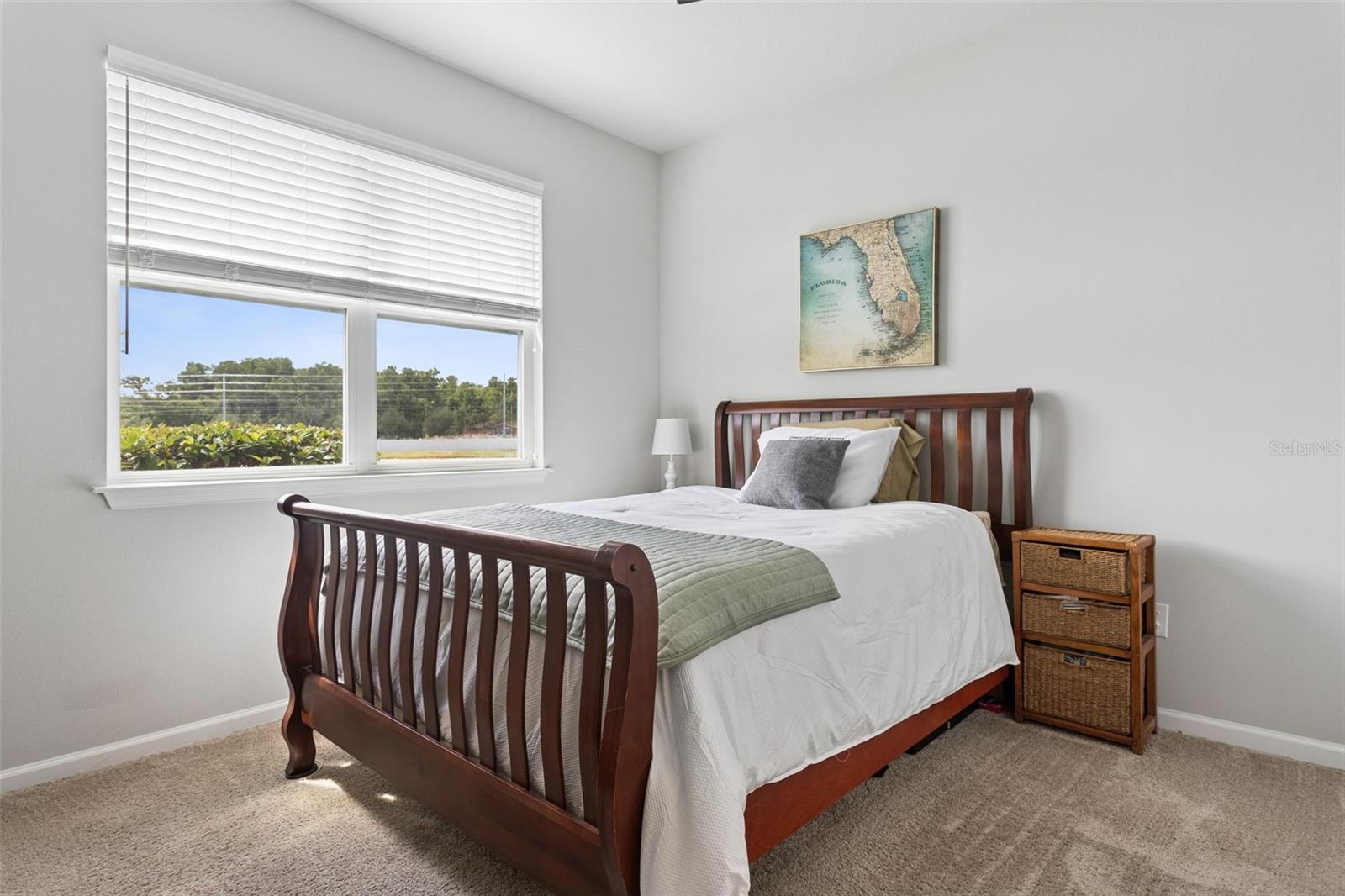 4317 CLOUD HOPPER WAY, LUTZ, FL, 33559