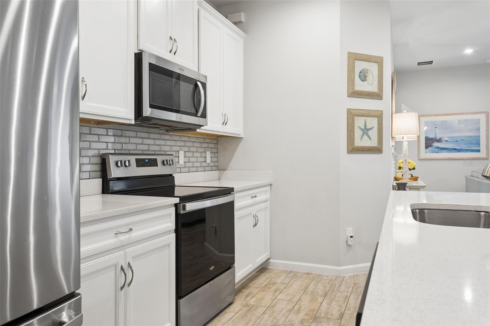 4317 CLOUD HOPPER WAY, LUTZ, FL, 33559