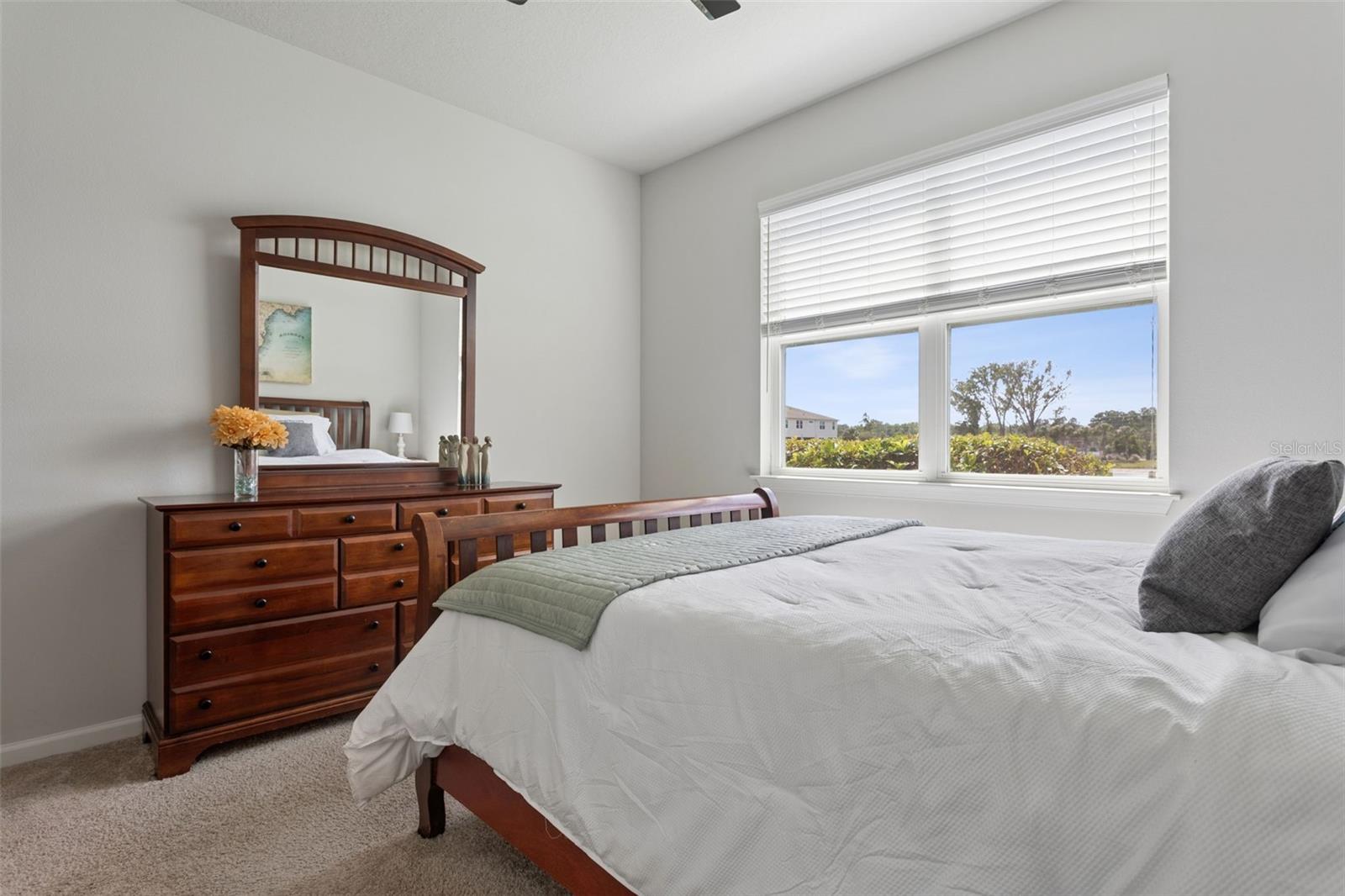 4317 CLOUD HOPPER WAY, LUTZ, FL, 33559