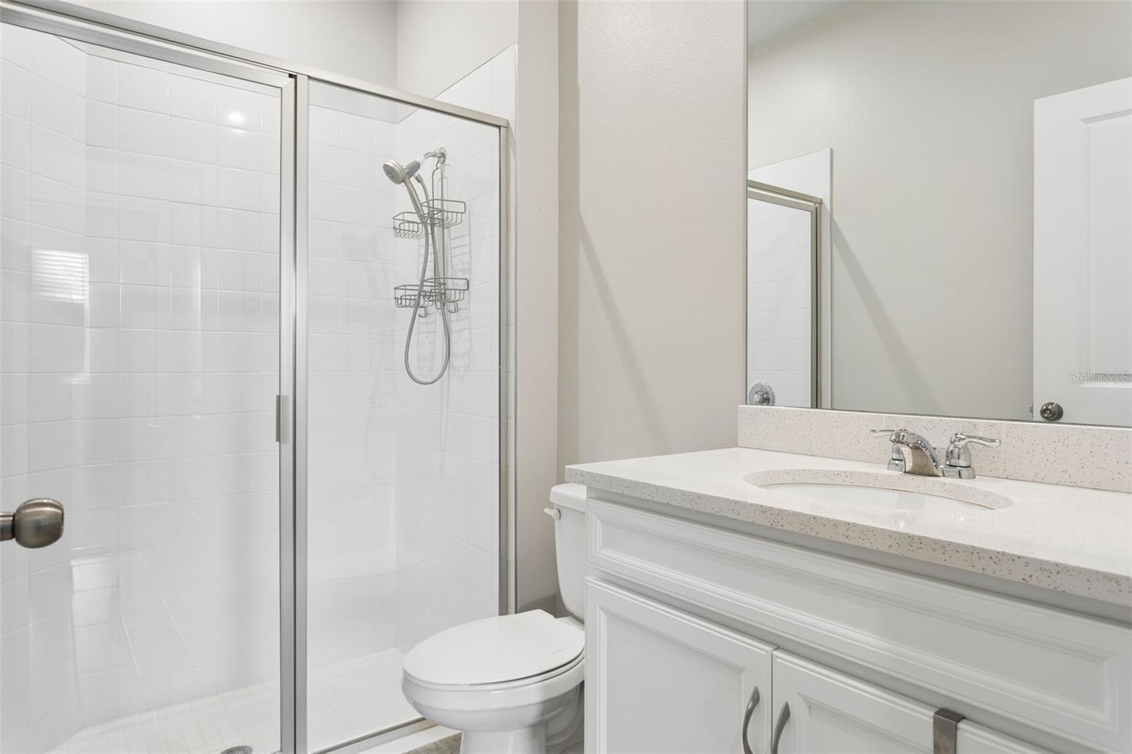 4317 CLOUD HOPPER WAY, LUTZ, FL, 33559