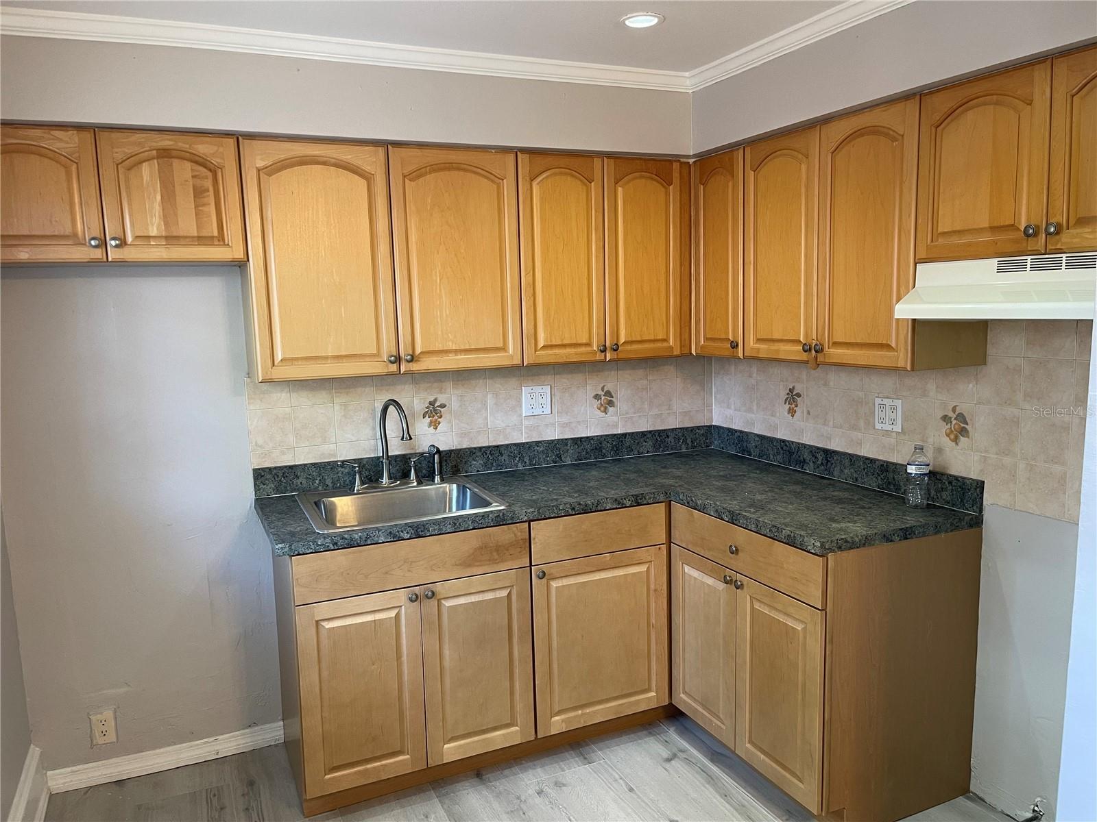 639 MICHIGAN BLVD #1800, DUNEDIN, FL, 34698