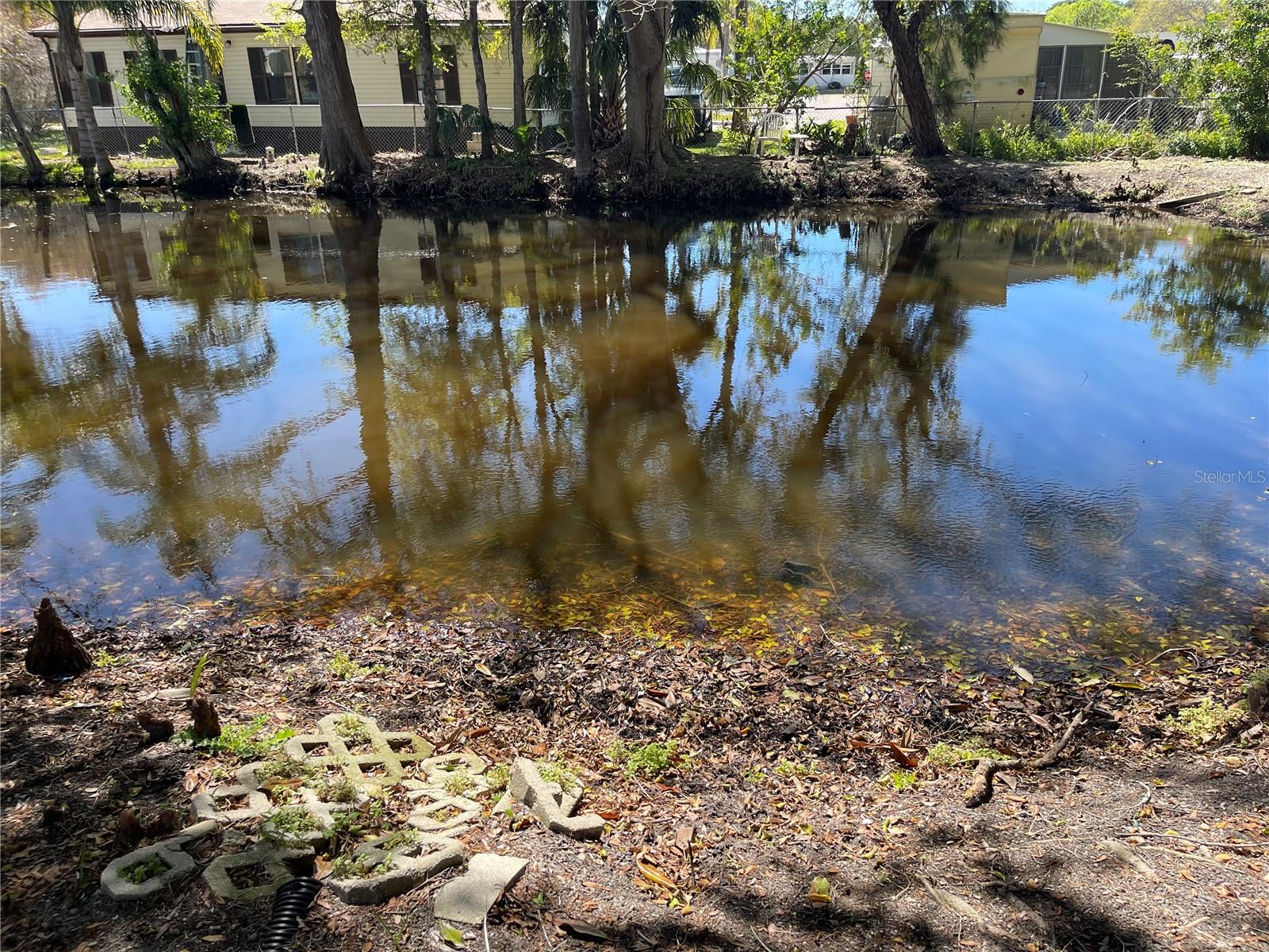 639 MICHIGAN BLVD #1800, DUNEDIN, FL, 34698