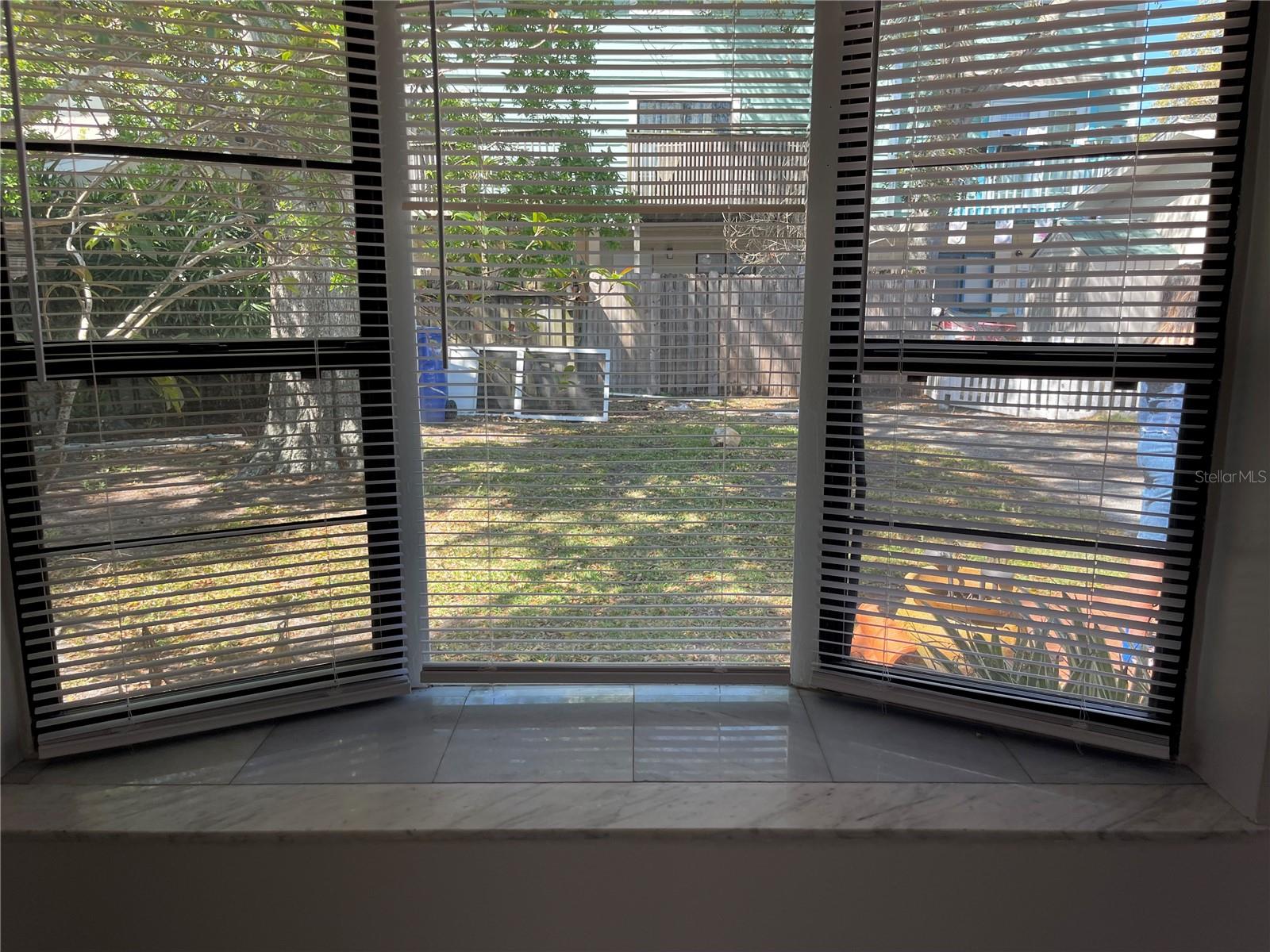 639 MICHIGAN BLVD #1800, DUNEDIN, FL, 34698