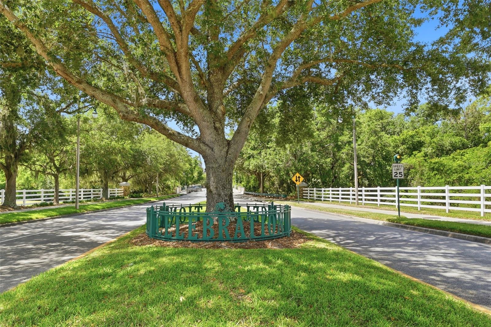 103 GRINNELL PL, CELEBRATION, FL, 34747