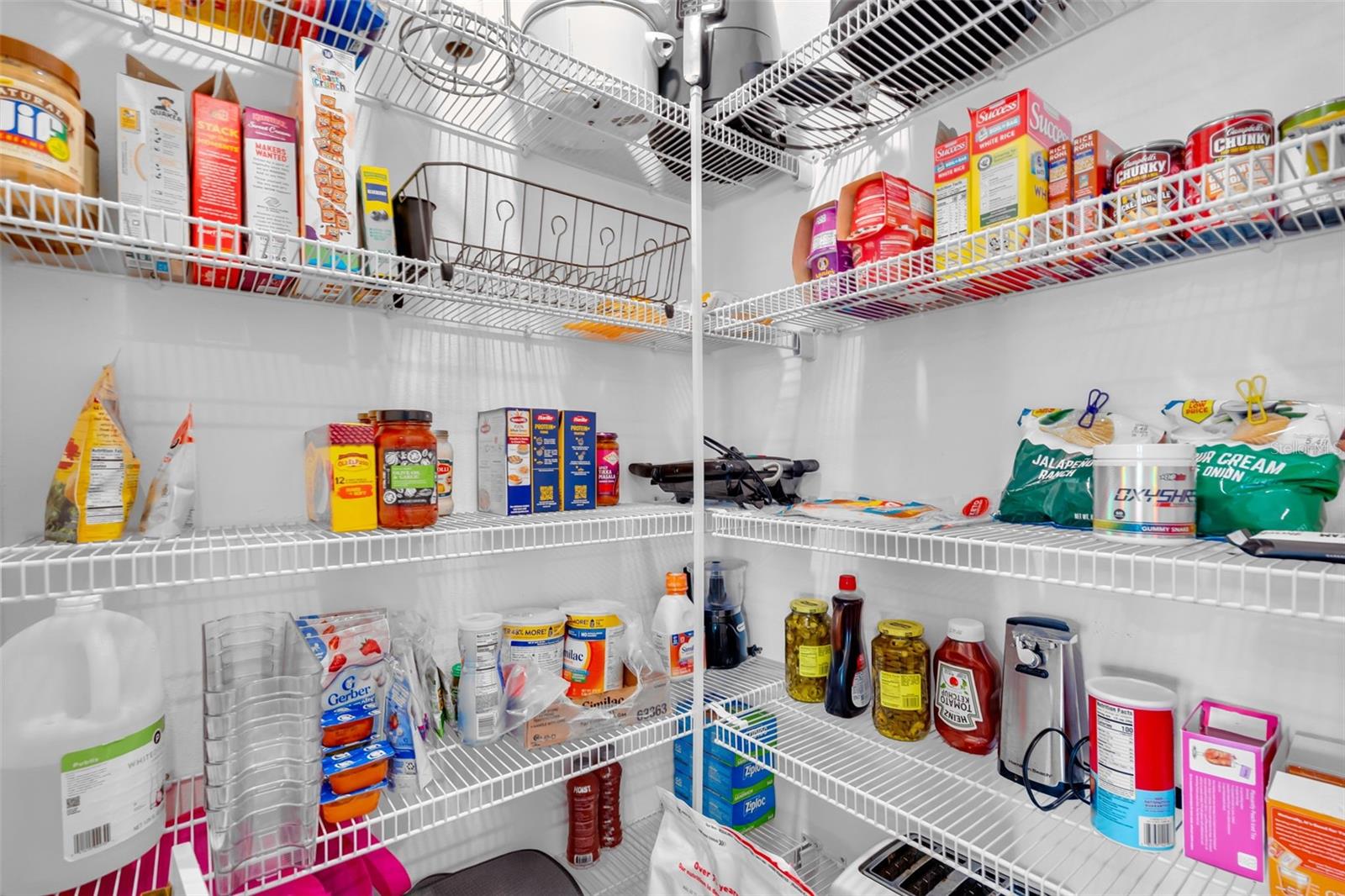 3806 DAISY BLOOM PL, TAMPA, FL, 33619