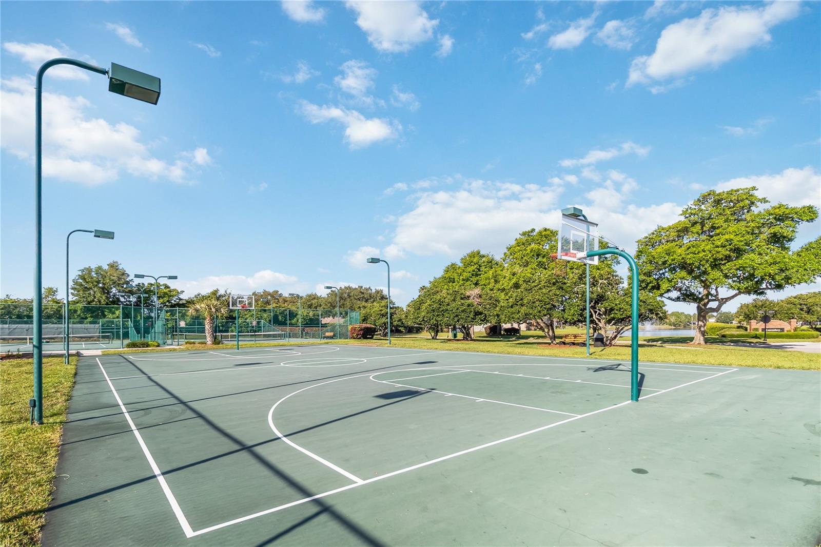 677 BUCKHAVEN LOOP, OCOEE, FL, 34761