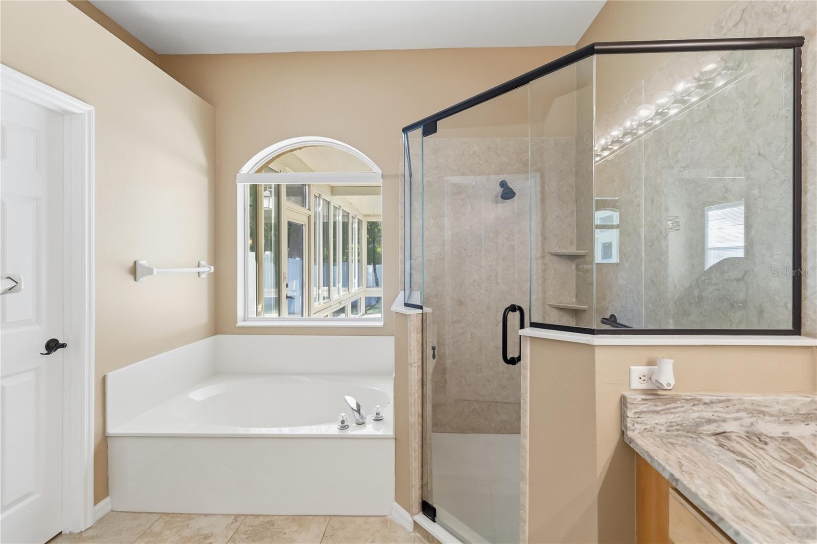 677 BUCKHAVEN LOOP, OCOEE, FL, 34761