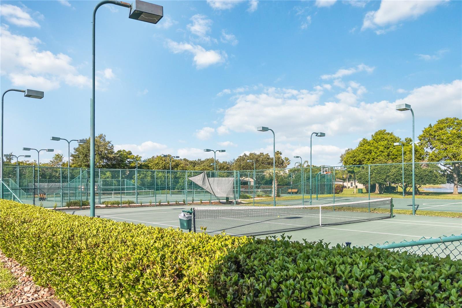 677 BUCKHAVEN LOOP, OCOEE, FL, 34761