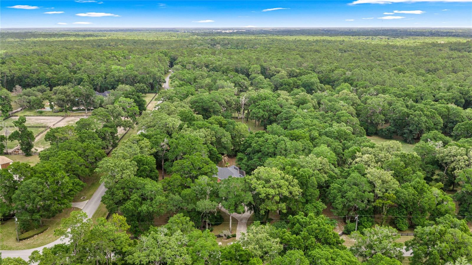 9175 SE 7TH AVENUE RD, OCALA, FL, 34480