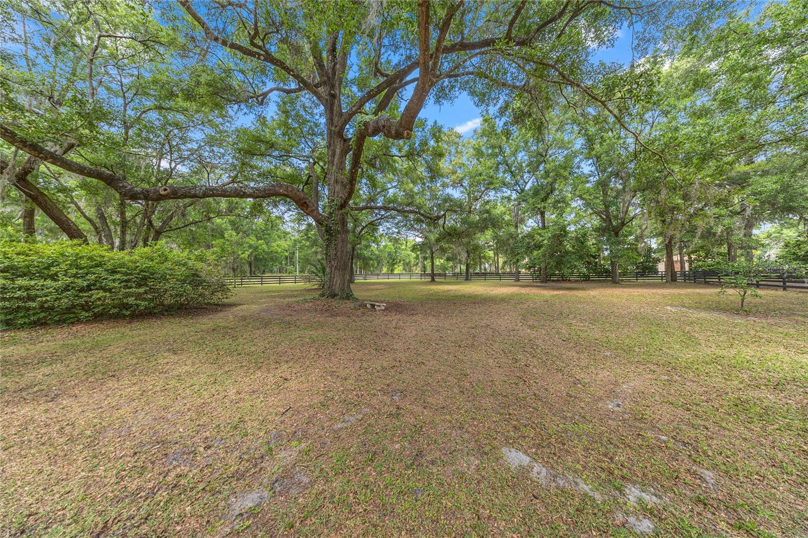 9175 SE 7TH AVENUE RD, OCALA, FL, 34480