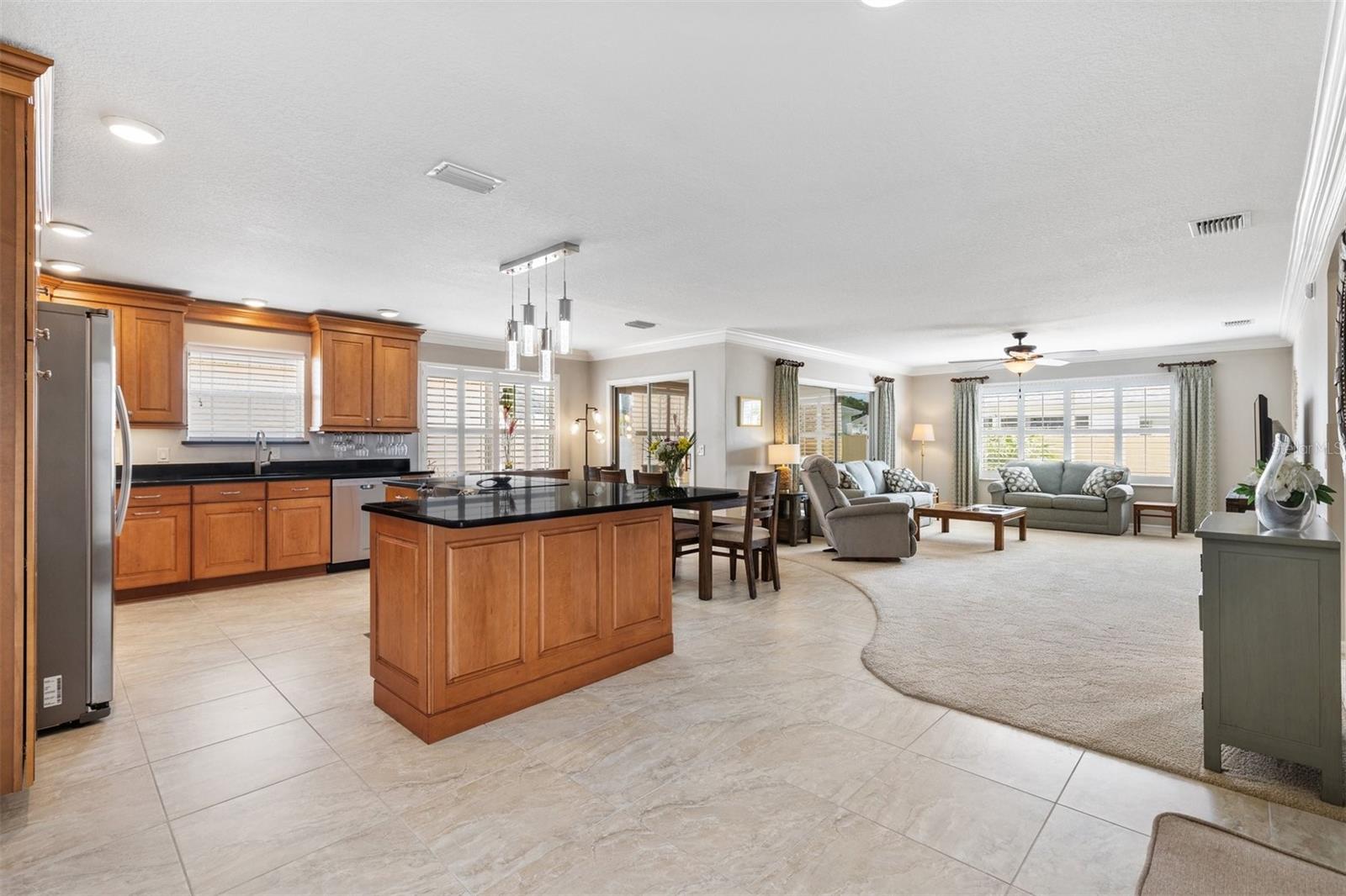16859 SE 80TH BATHURST CT, THE VILLAGES, FL, 32162