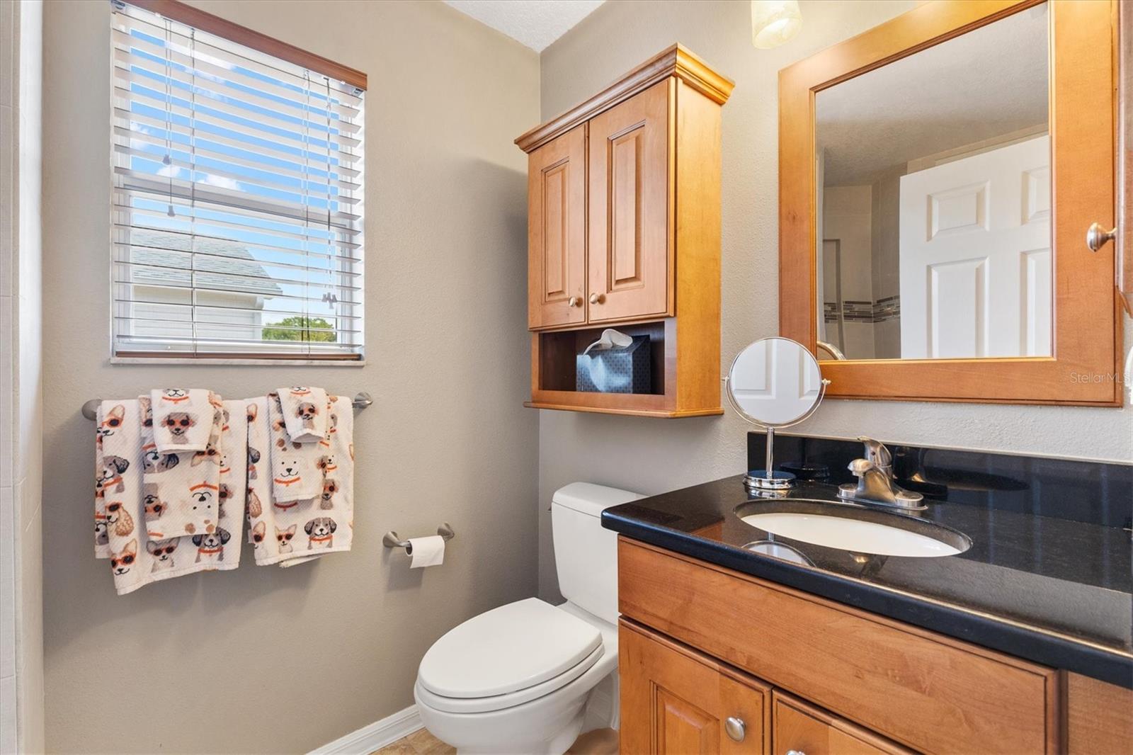 16859 SE 80TH BATHURST CT, THE VILLAGES, FL, 32162