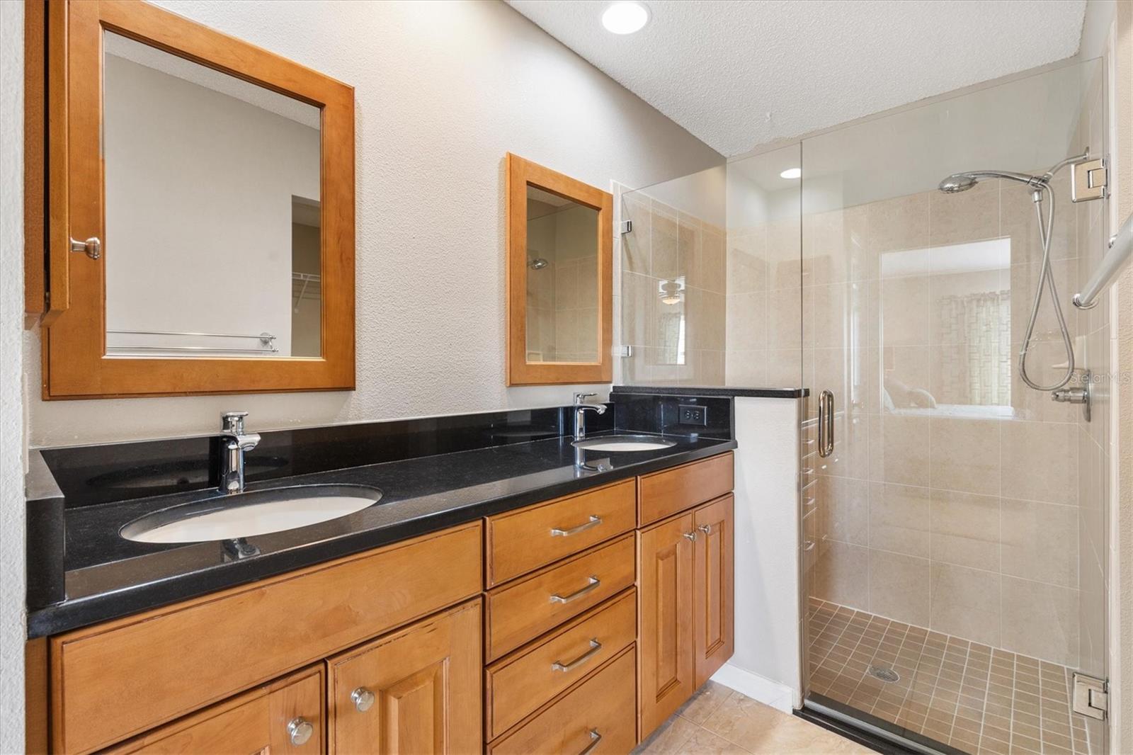 16859 SE 80TH BATHURST CT, THE VILLAGES, FL, 32162
