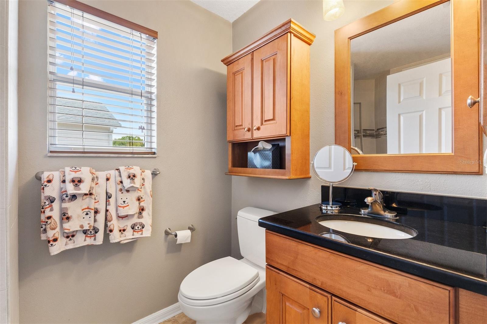 16859 SE 80TH BATHURST CT, THE VILLAGES, FL, 32162
