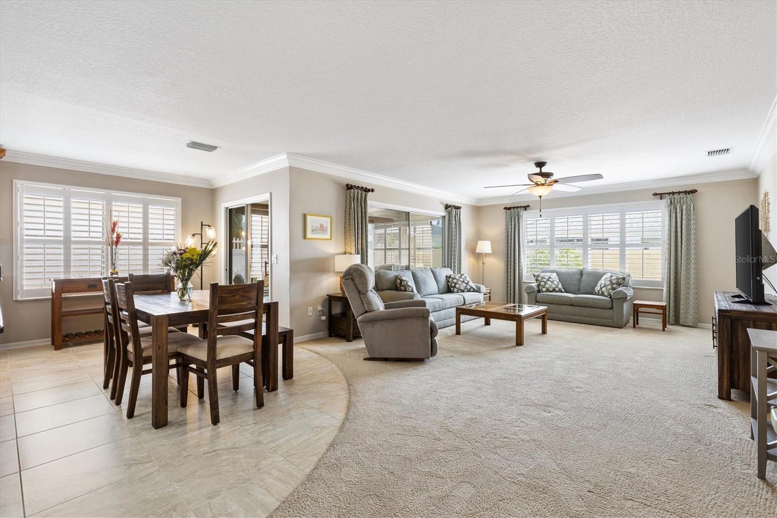 16859 SE 80TH BATHURST CT, THE VILLAGES, FL, 32162