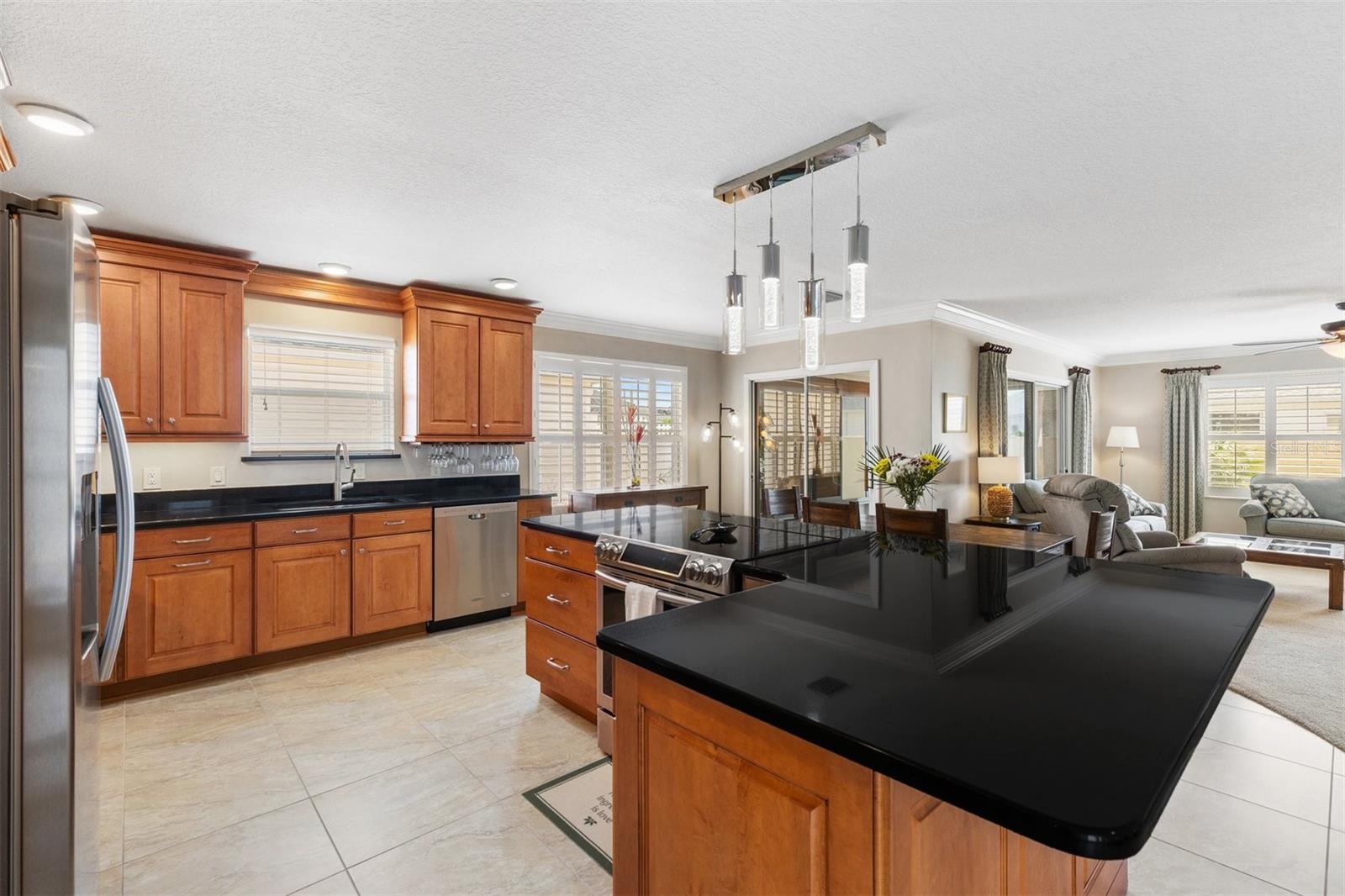 16859 SE 80TH BATHURST CT, THE VILLAGES, FL, 32162