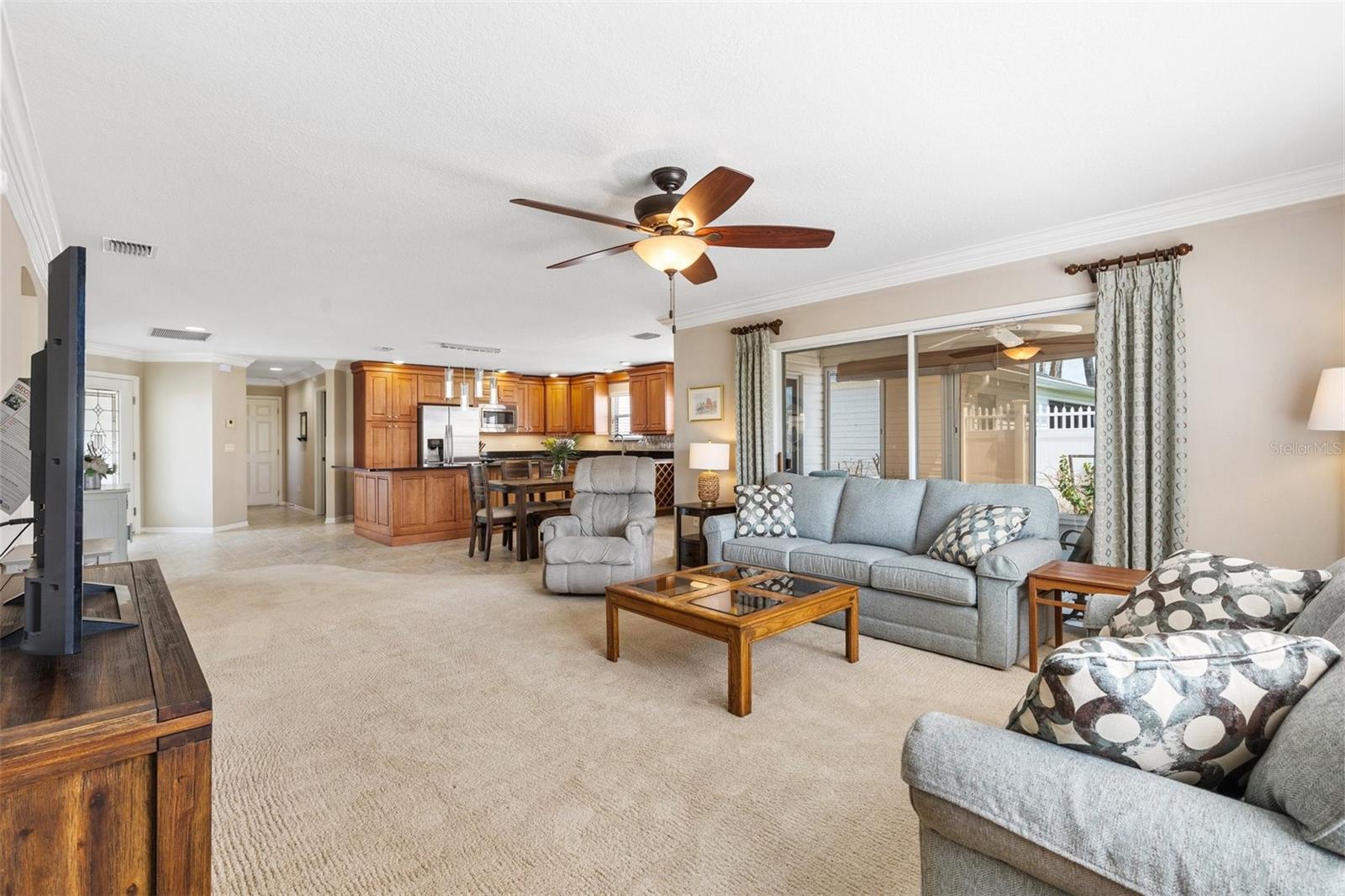 16859 SE 80TH BATHURST CT, THE VILLAGES, FL, 32162