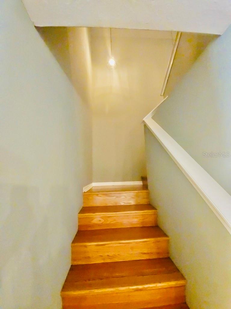 7703 N BRANCH AVE, TAMPA, FL, 33604