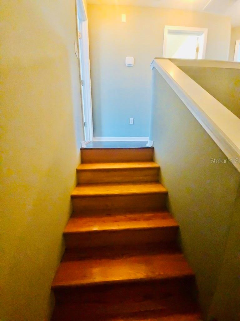 7703 N BRANCH AVE, TAMPA, FL, 33604