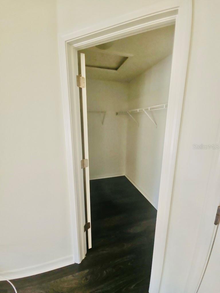 7703 N BRANCH AVE, TAMPA, FL, 33604