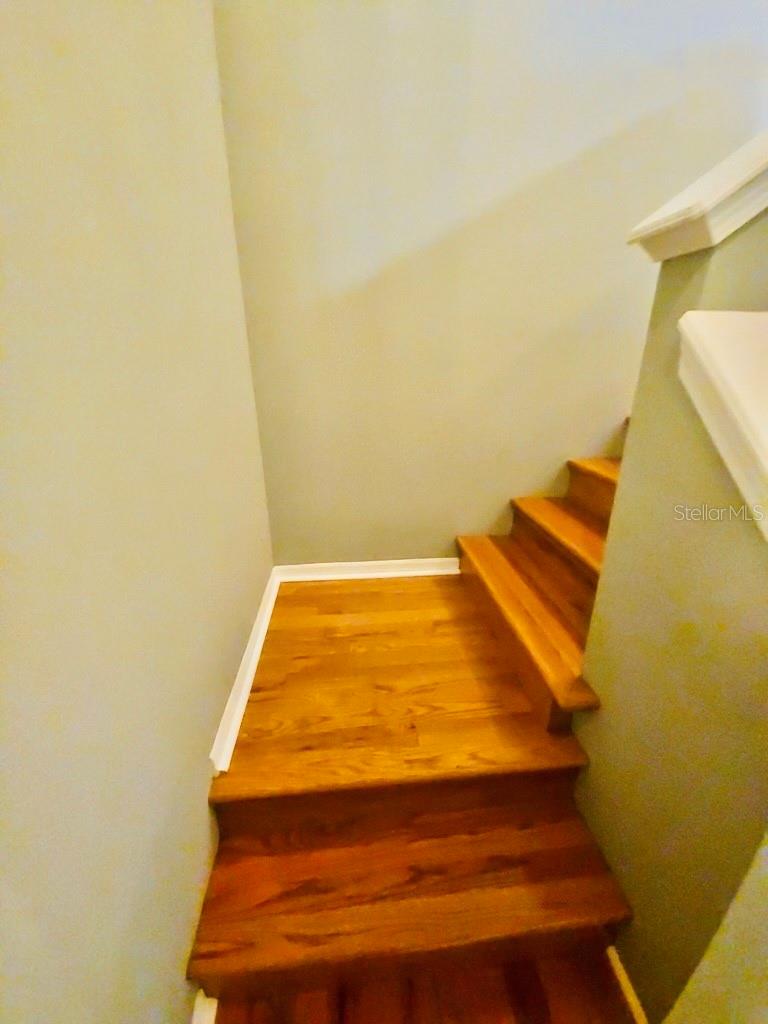 7703 N BRANCH AVE, TAMPA, FL, 33604