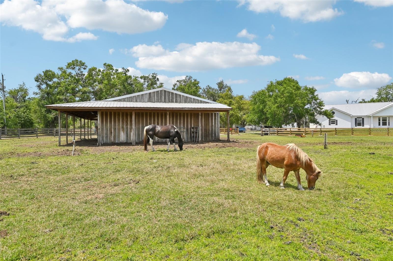 21019 LONESOME ACRE RD, WIMAUMA, FL, 33598