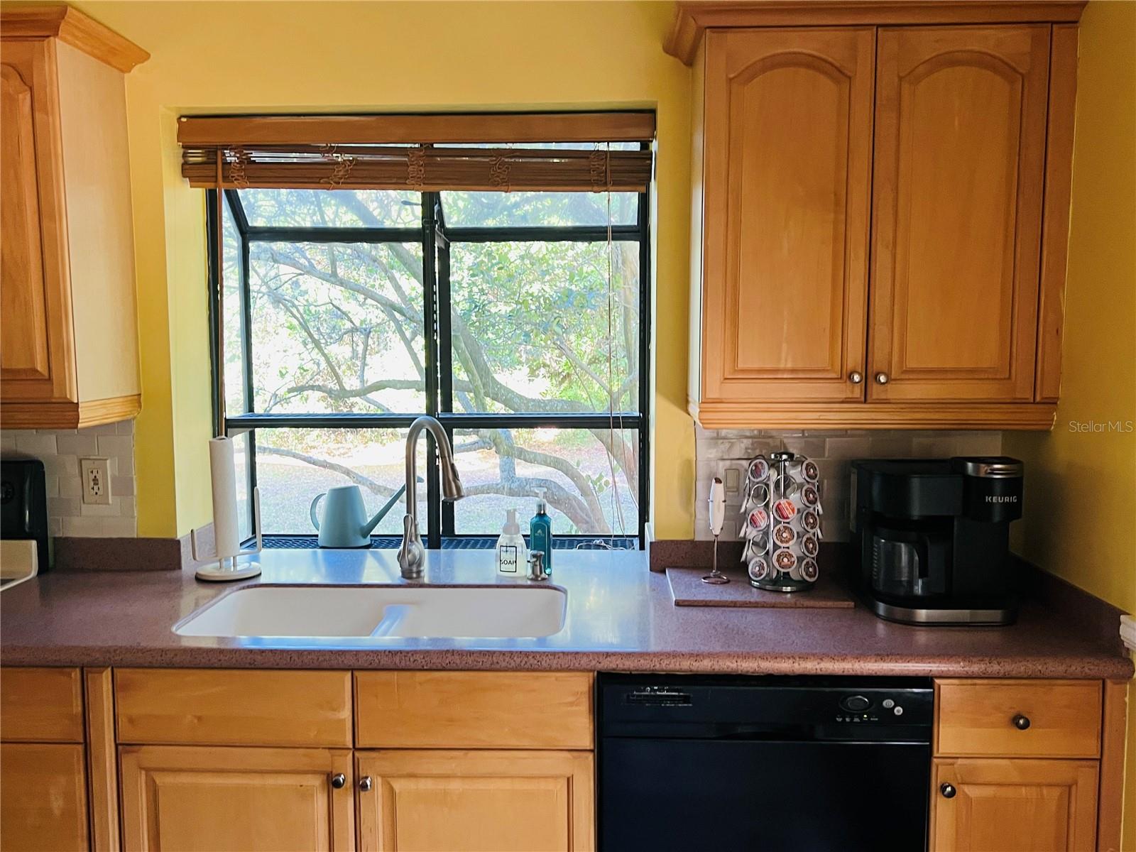 1721 LAKE CYPRESS DR #2101, SAFETY HARBOR, FL, 34695