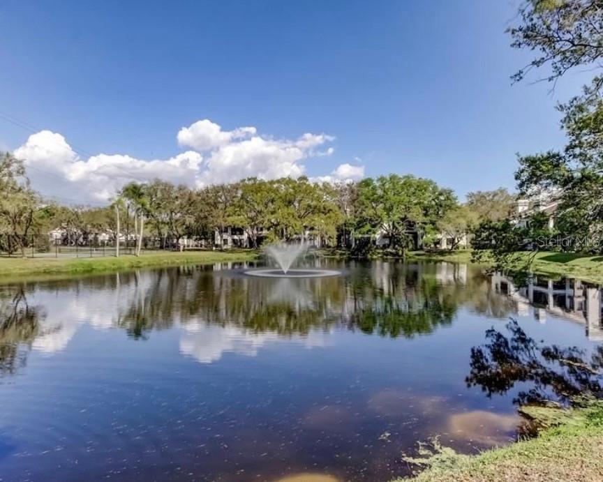 1721 LAKE CYPRESS DR #2101, SAFETY HARBOR, FL, 34695