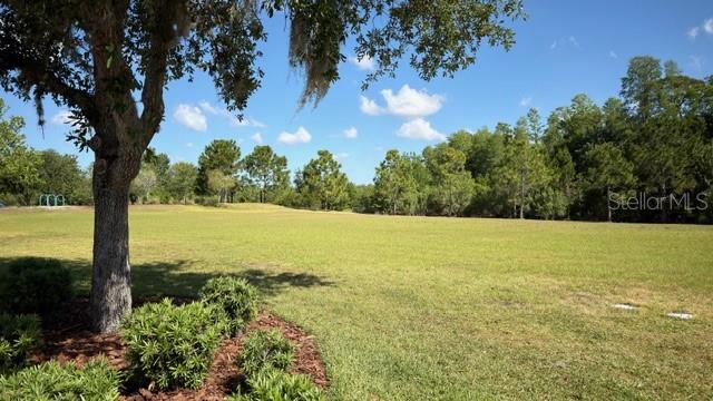 4129 BEESWAX LN, LAND O LAKES, FL, 34638