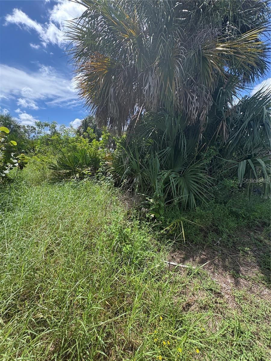 16936 OHARA DR, PORT CHARLOTTE, FL, 33948