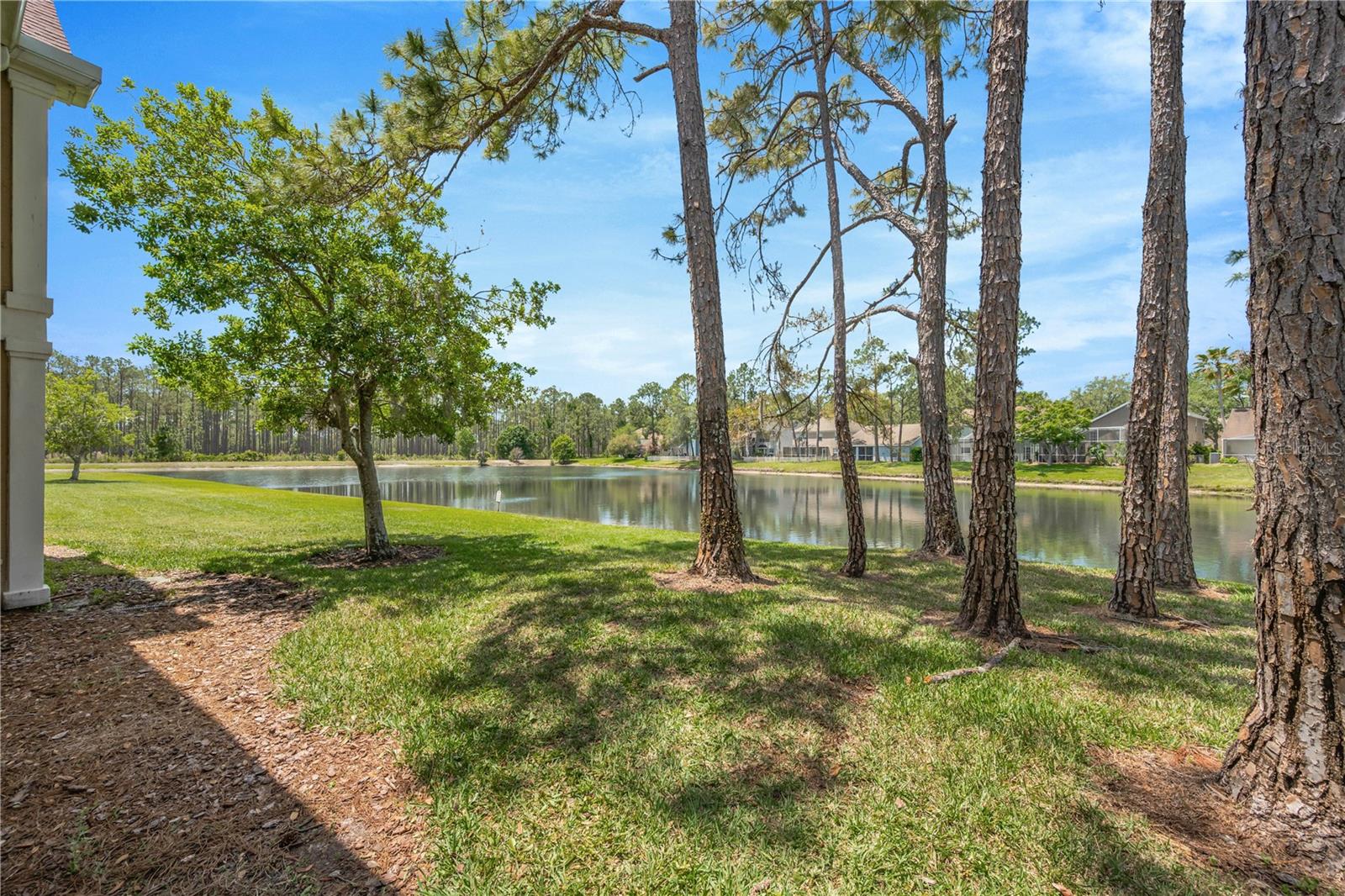 9481 HIGHLAND OAK DR #1112, TAMPA, FL, 33647