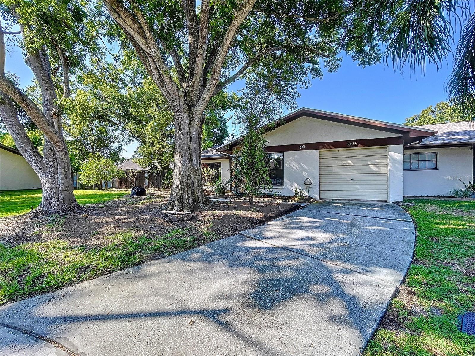 2031 DOVER CT, OLDSMAR, FL, 34677