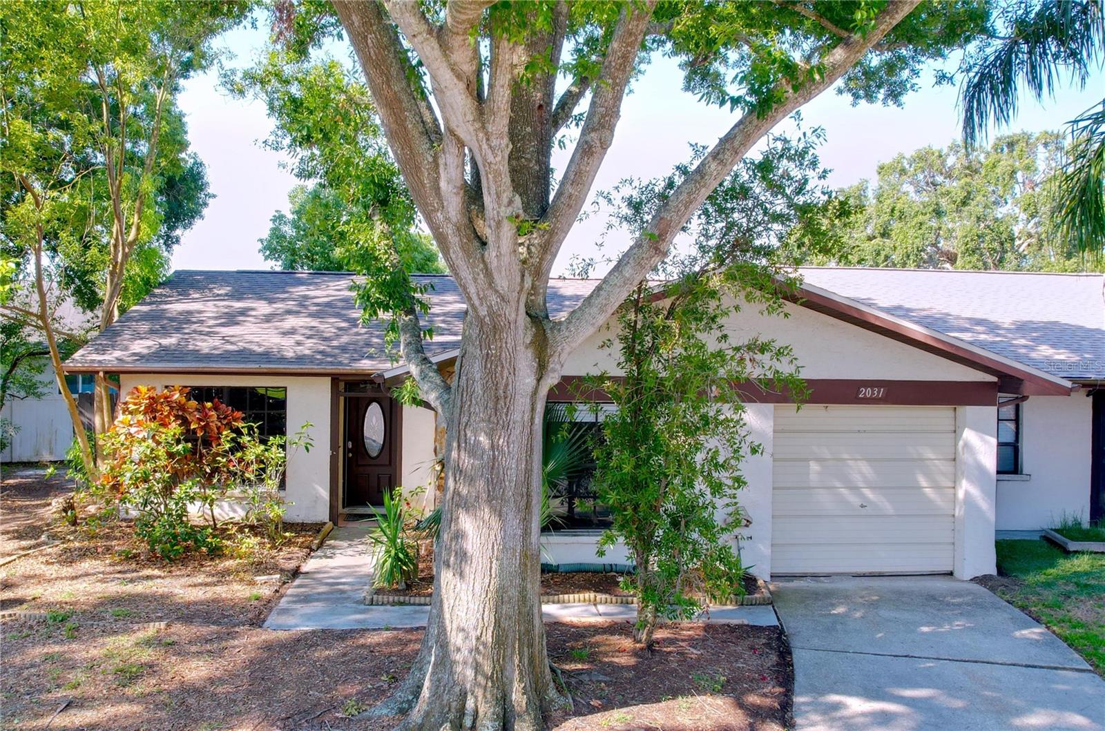 2031 DOVER CT, OLDSMAR, FL, 34677