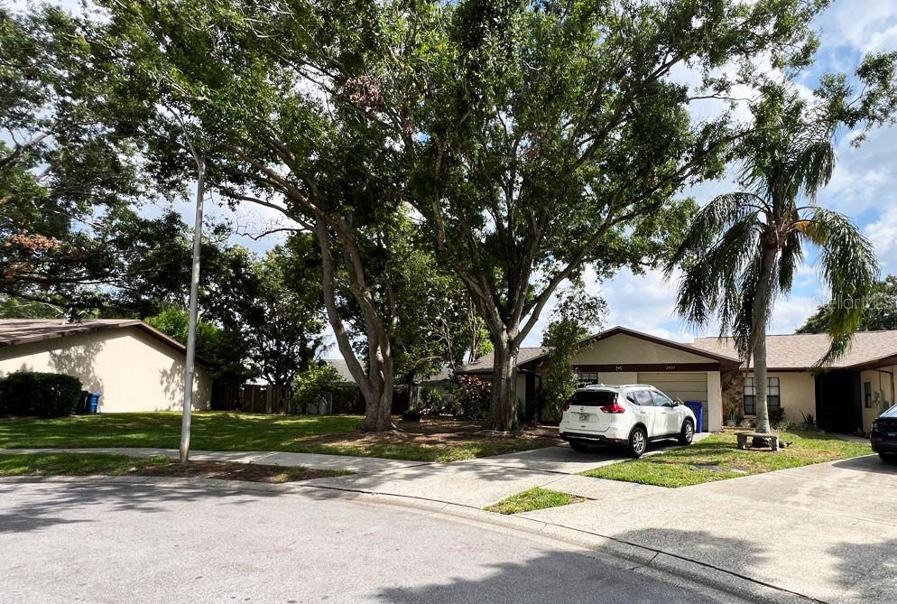 2031 DOVER CT, OLDSMAR, FL, 34677