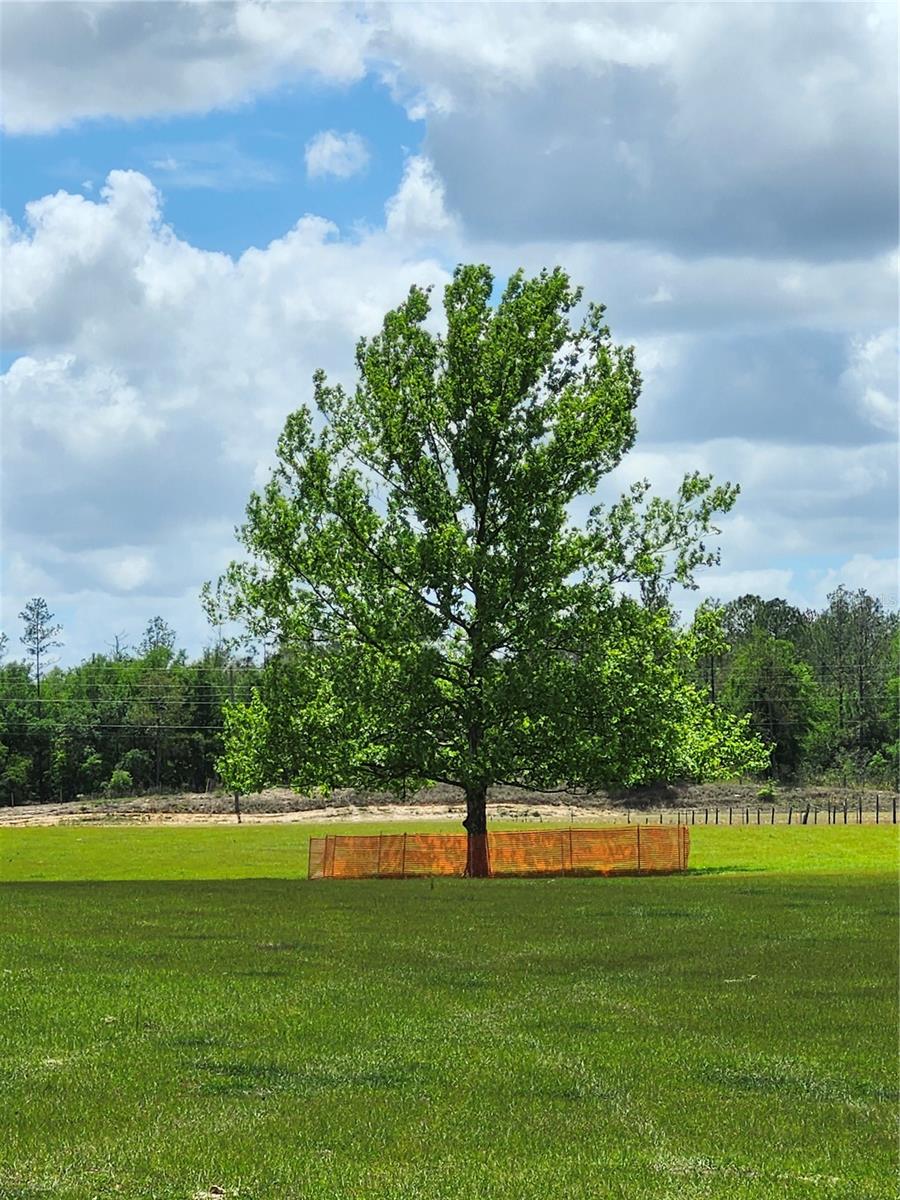 0 CHRISTIAN RD #Lot 9, DADE CITY, FL, 33523