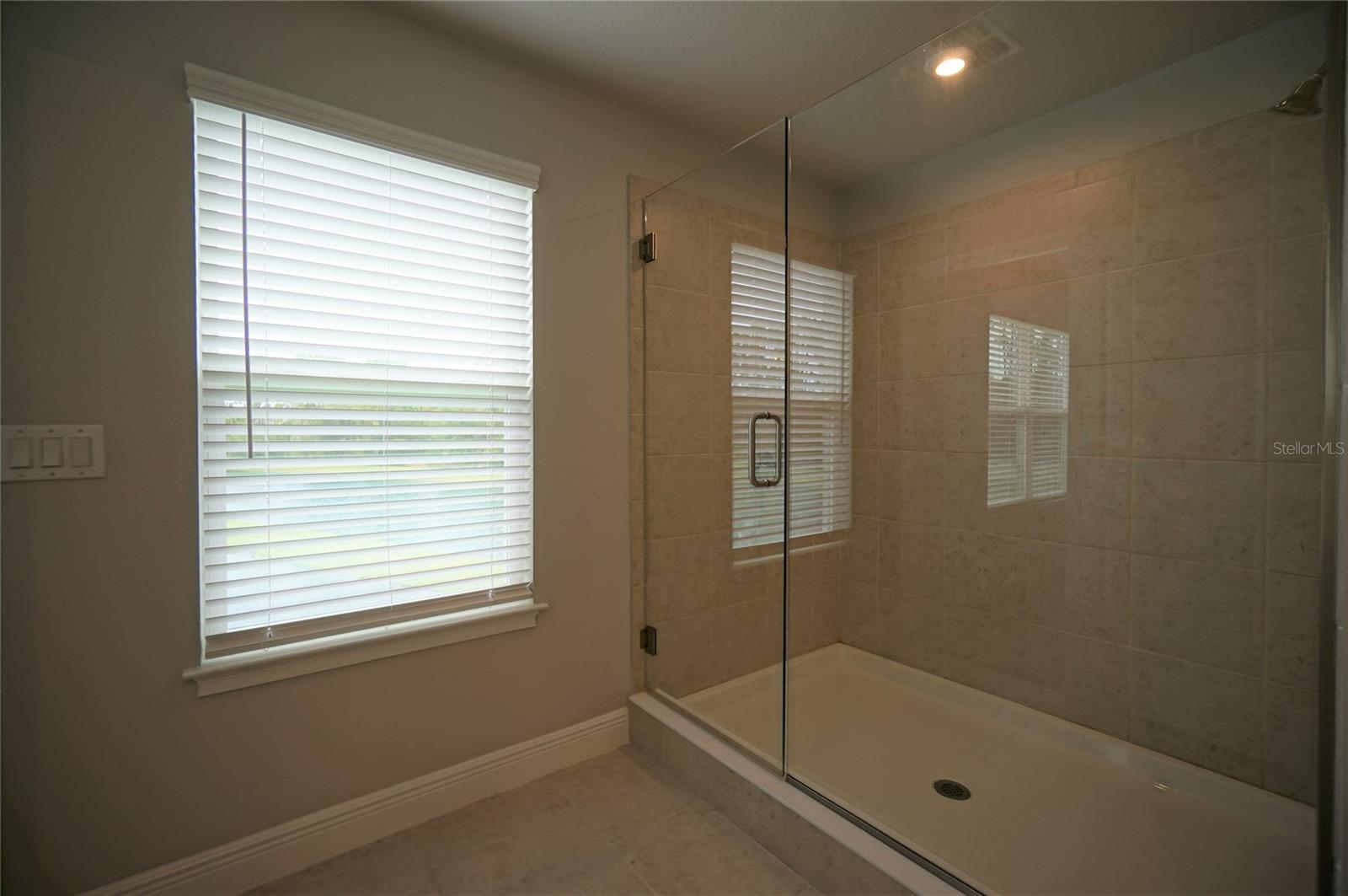 6016 GRAND SONATA AVE, LUTZ, FL, 33558