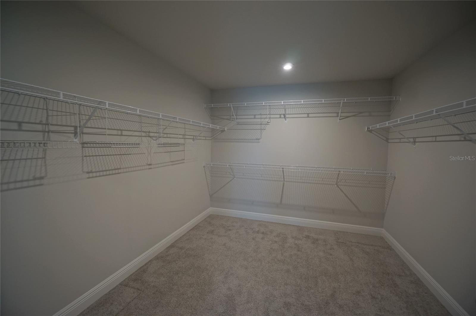 6016 GRAND SONATA AVE, LUTZ, FL, 33558